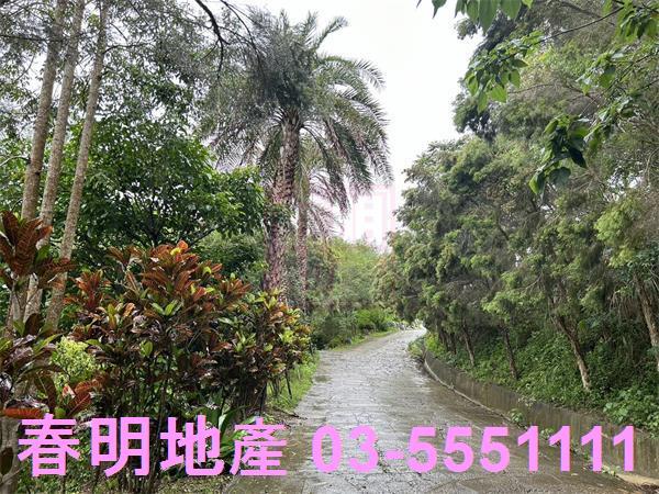 新竹寶山林地-1