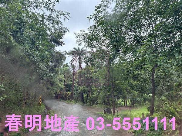 新竹寶山林地-2