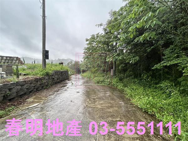 新竹寶山林地-3