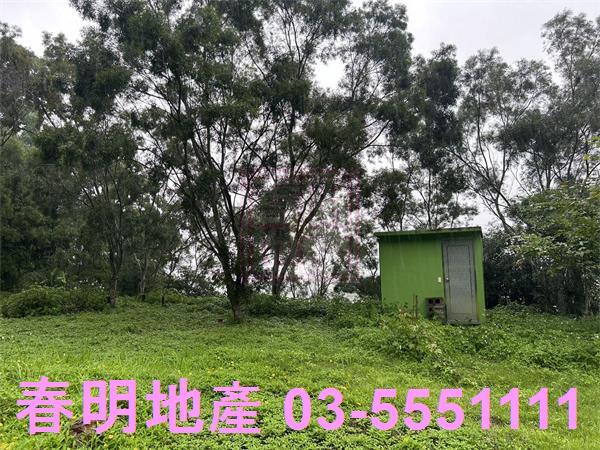 新竹寶山林地-4