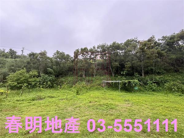 新竹寶山林地-6