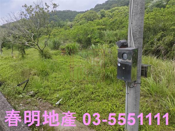 湖口農地-4