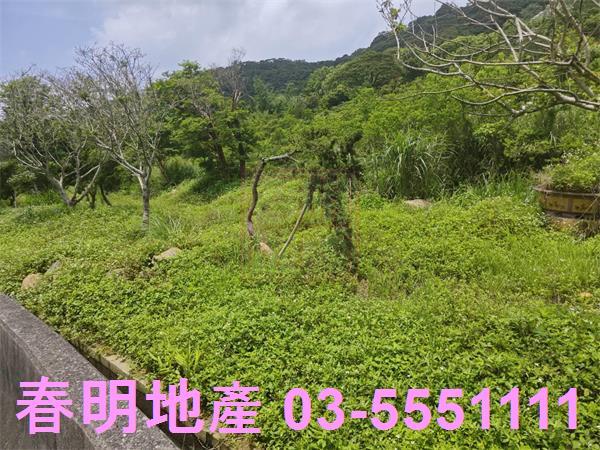 湖口農地-5