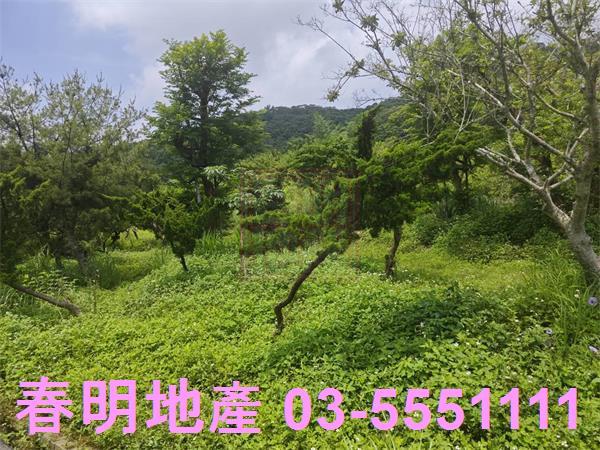 湖口農地-6