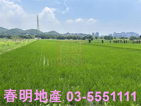 新竹農地-3