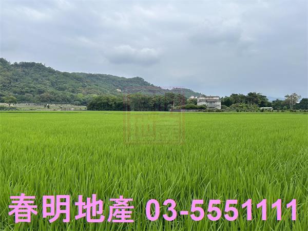 新竹農地-6