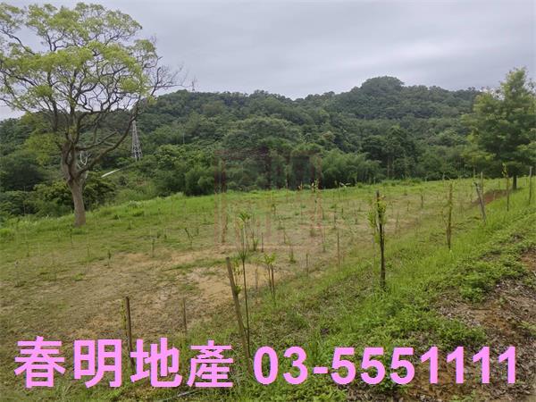 苗栗三灣農地-10