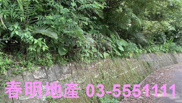 新竹林地-0