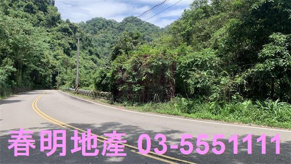 新竹林地-1