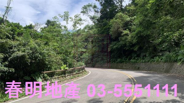 新竹林地-2