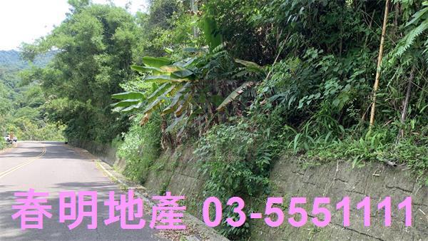 新竹林地-4