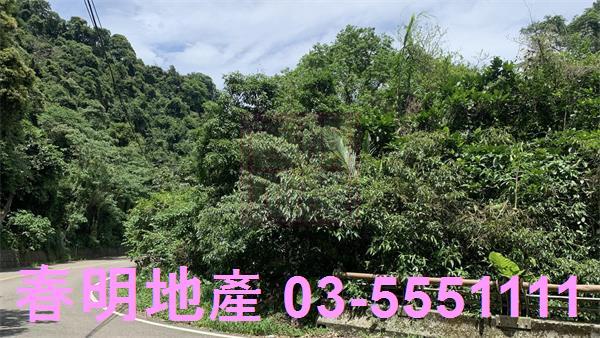 新竹林地-5