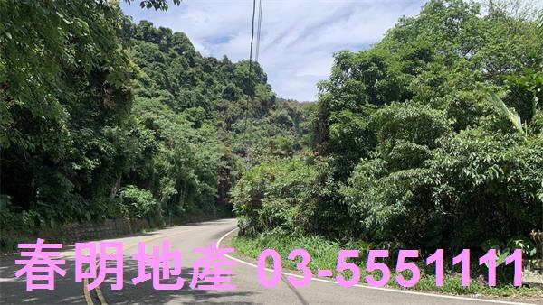 新竹林地-6