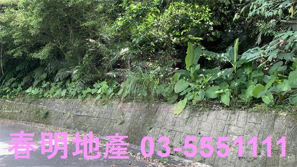 新竹林地-7