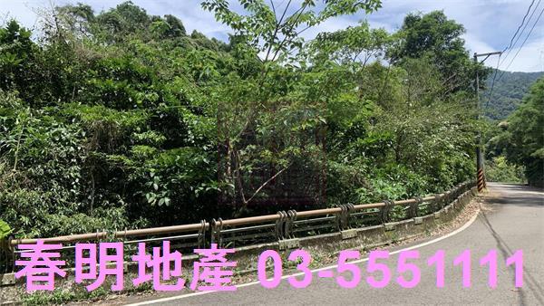 新竹林地-8