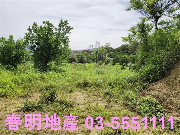 新竹農地-9