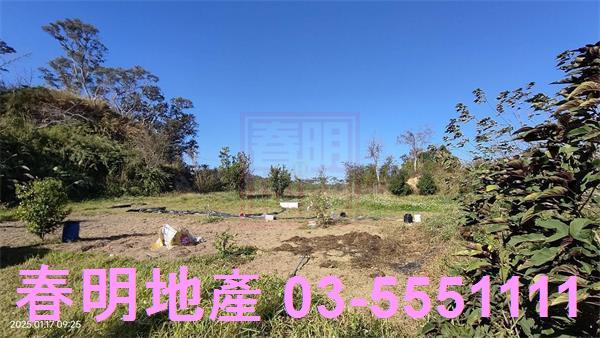 新竹農地-12