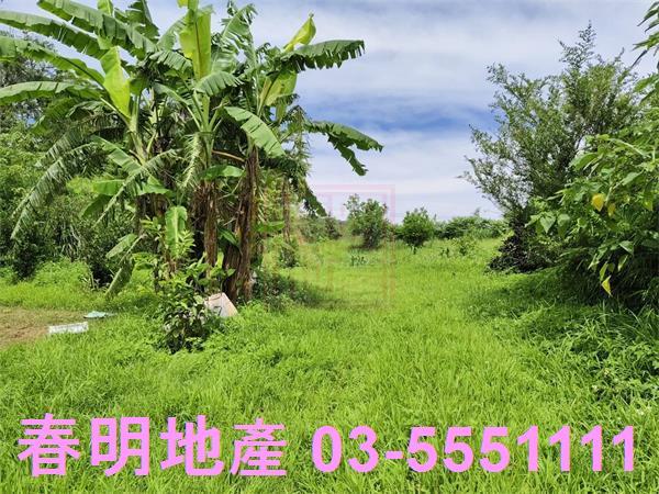 新竹農地-0
