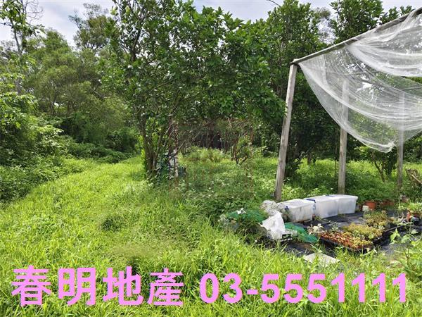 新竹農地-1