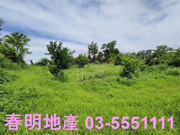 新竹農地-3