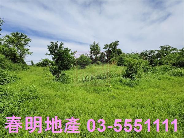 新竹農地-4