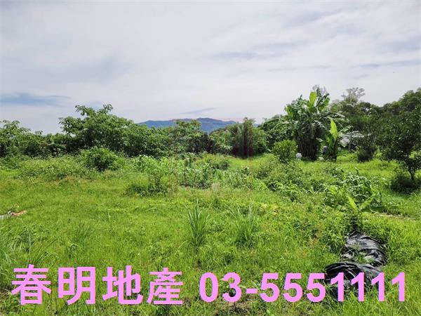 新竹農地-5