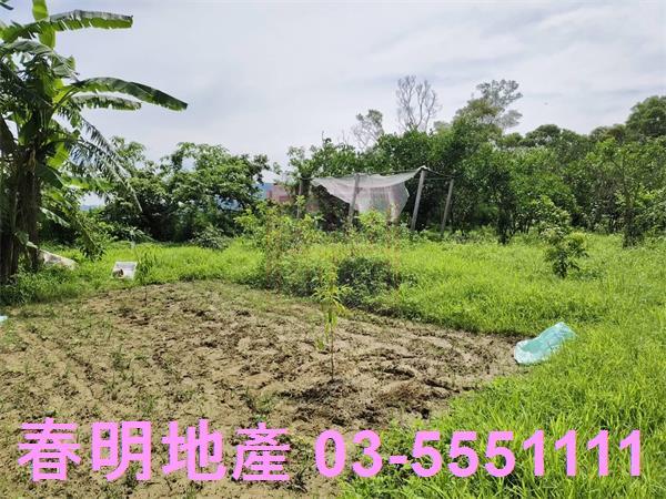 新竹農地-7