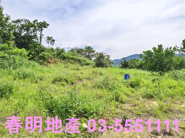 新竹農地-8