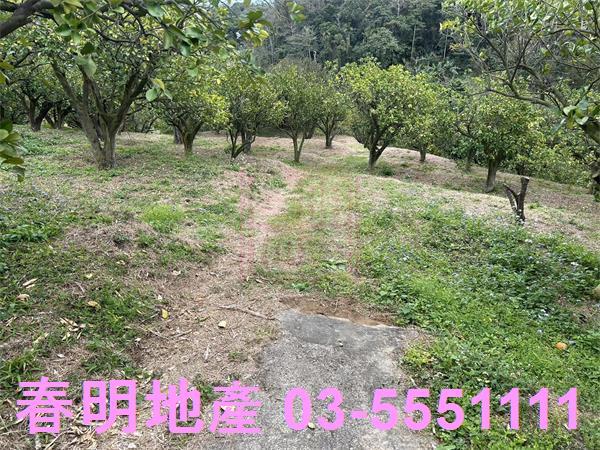 新竹峨眉農地-0