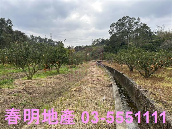 新竹峨眉農地-1