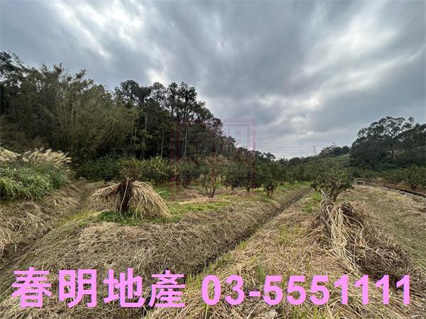 新竹峨眉農地-2