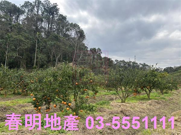 新竹峨眉農地-3