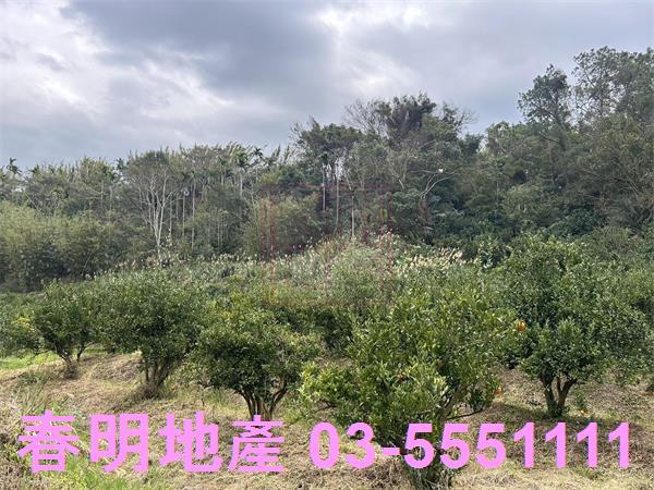 新竹峨眉農地-4