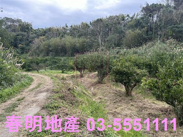 新竹峨眉農地-5
