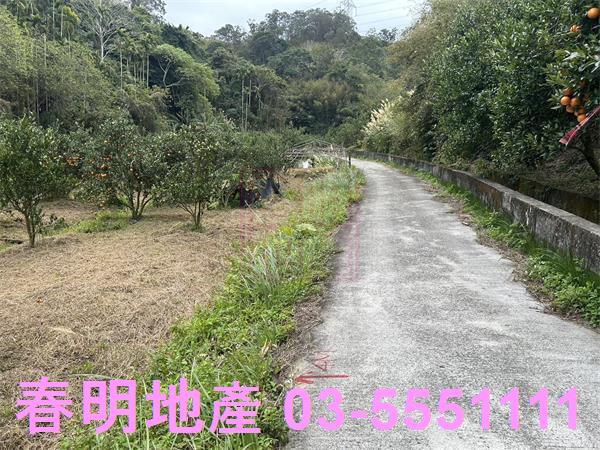 新竹峨眉農地-6