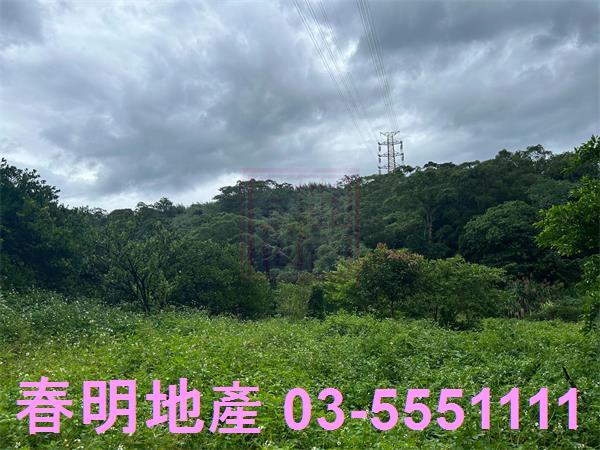 新竹峨眉農地-1