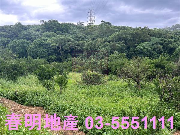 新竹峨眉農地-4