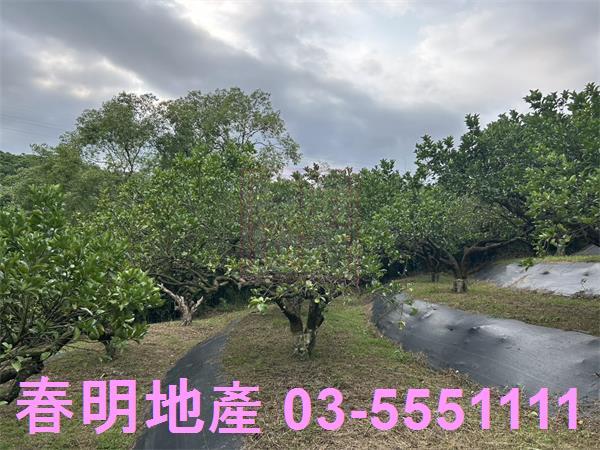 峨眉農地-9