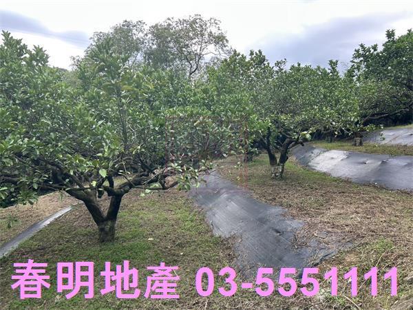 峨眉農地-0
