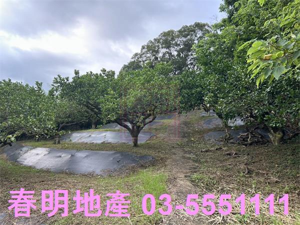峨眉農地-1