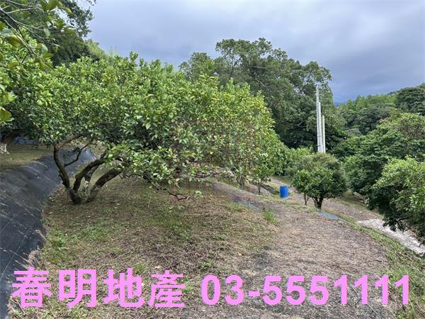 峨眉農地-3