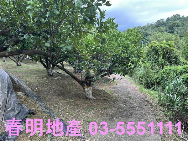 峨眉農地-4