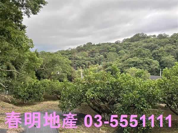 峨眉農地-5