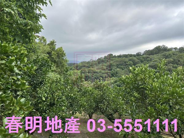 峨眉農地-7