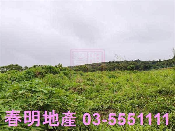 新豐建地-2