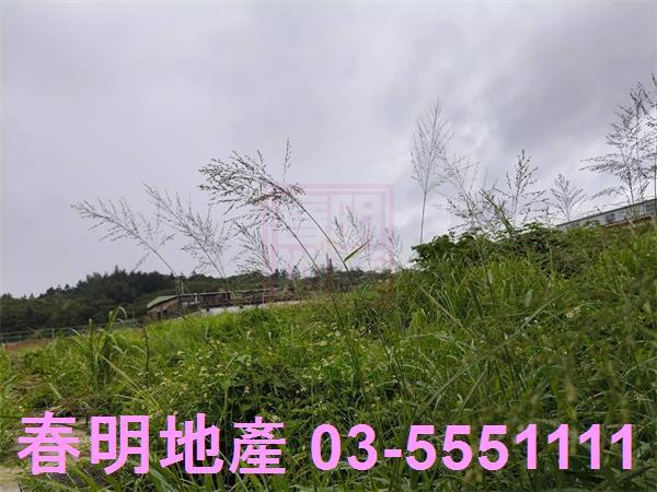 新豐建地-3