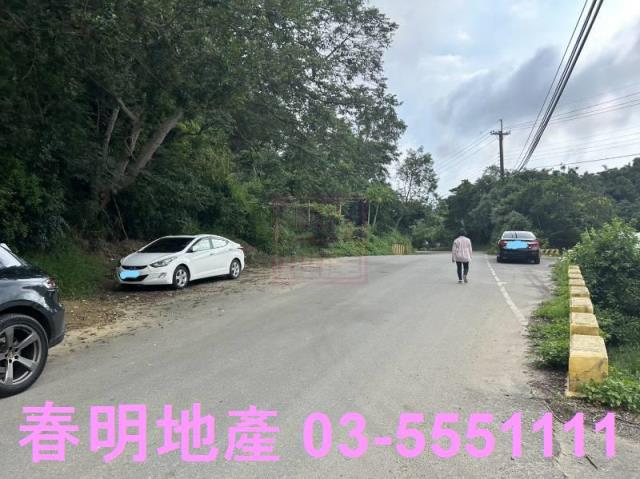 新竹林地-9