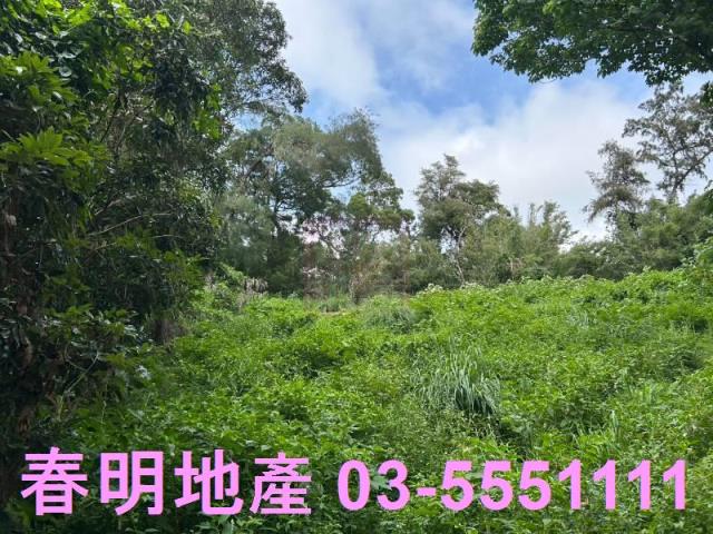 新竹林地-2
