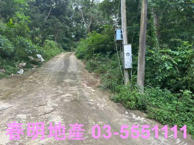 新竹林地-6