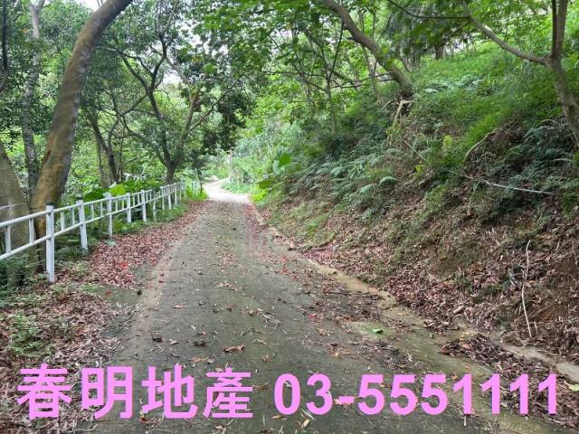新竹林地-7